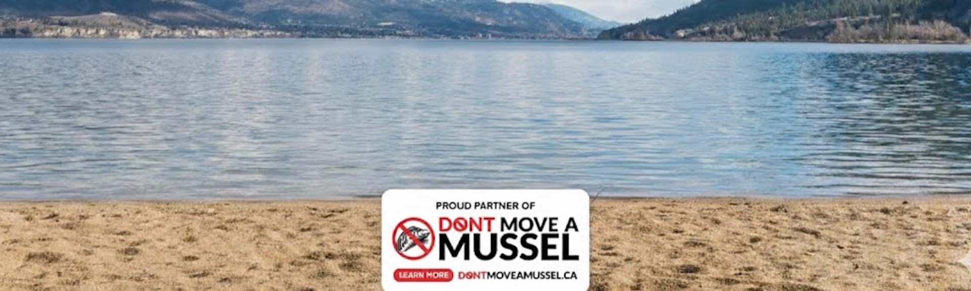 Don't Move A Mussel Photo